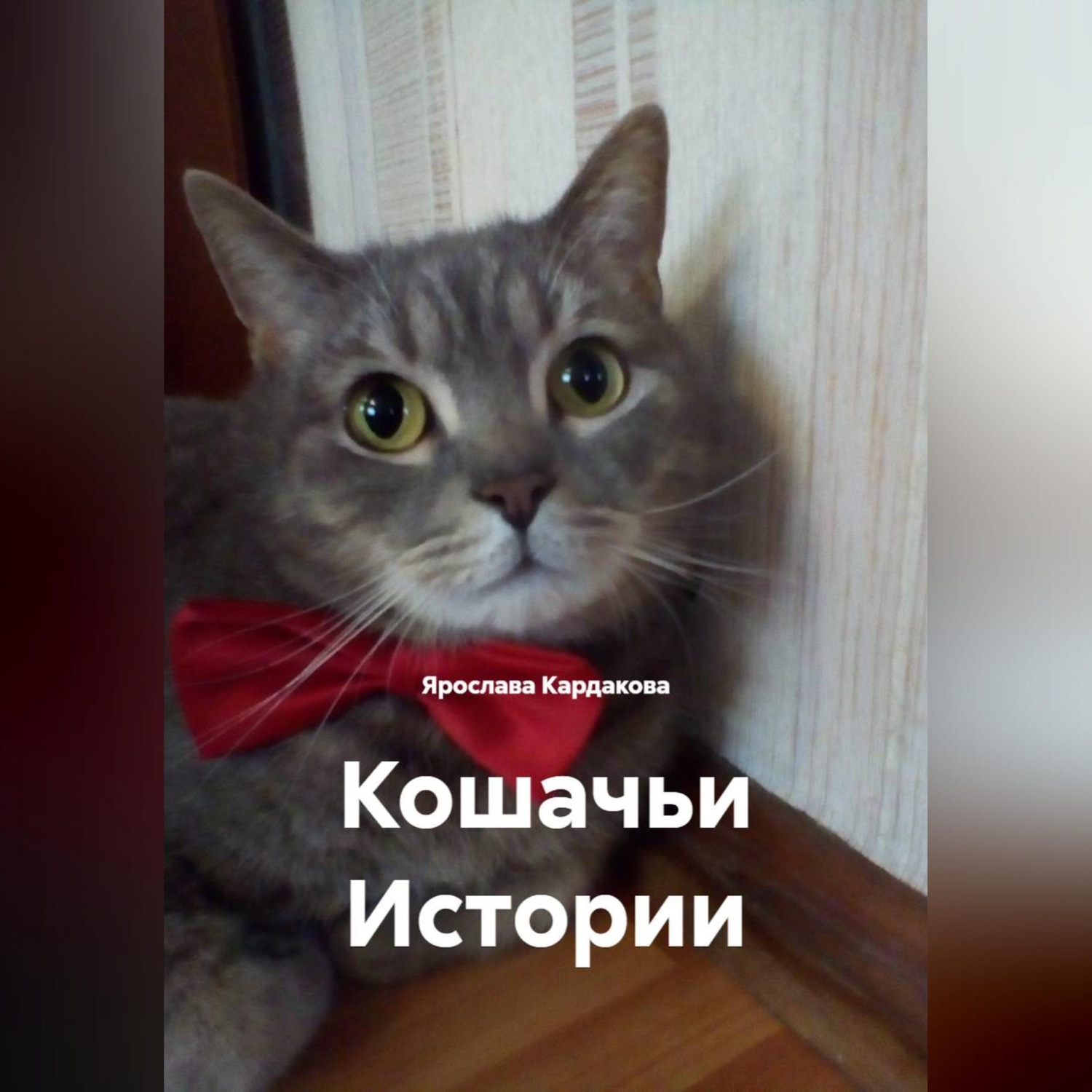Обложка книги «Кошачьи Истории»