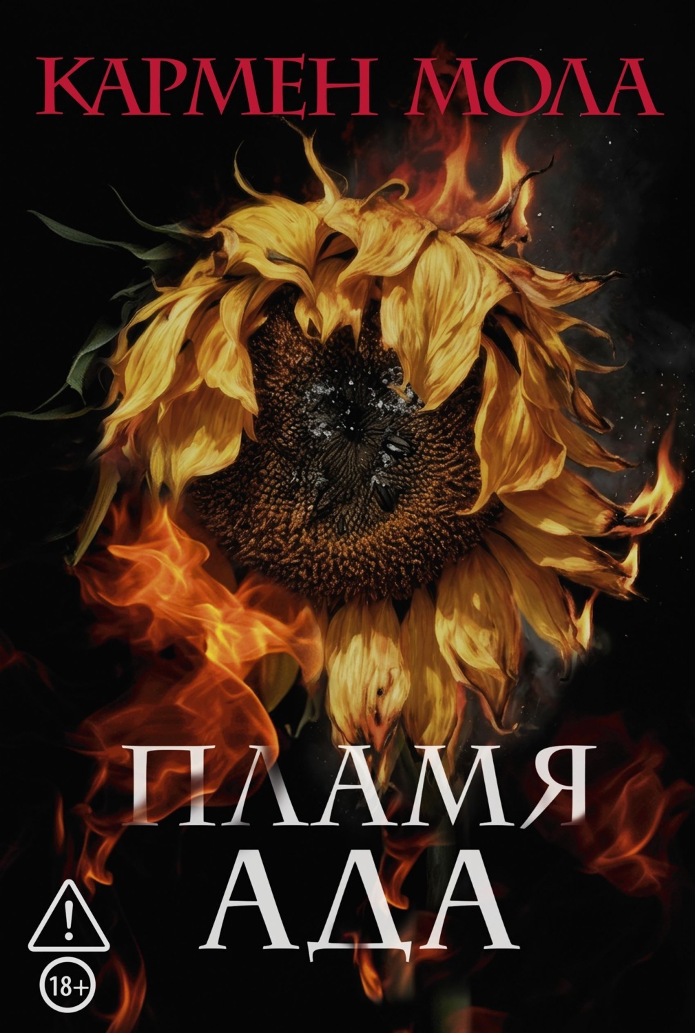 Обложка книги «Пламя ада»