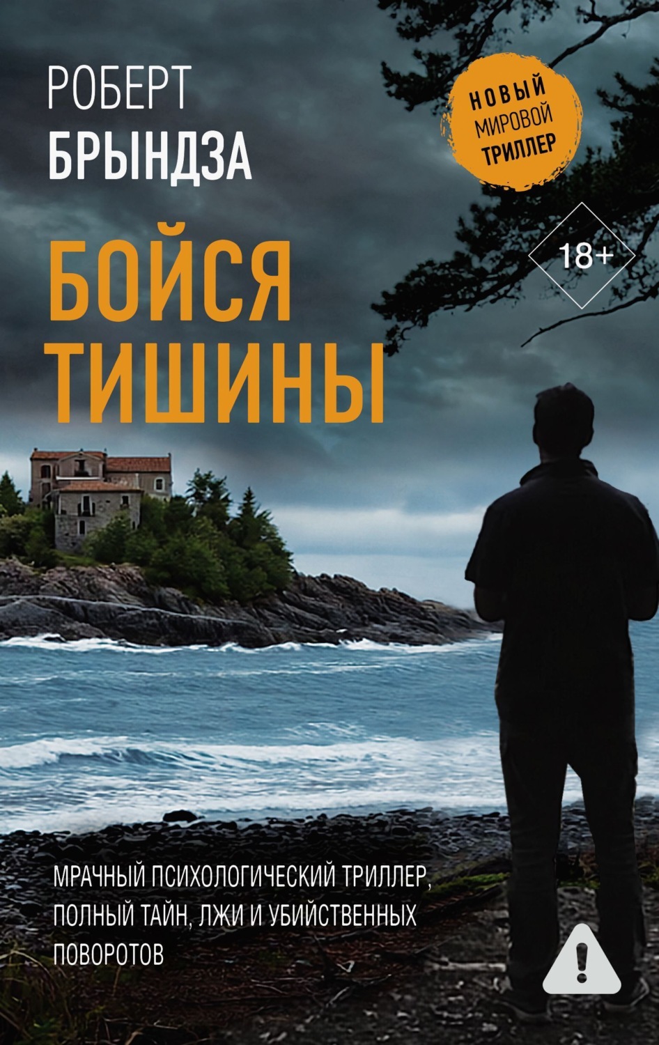 Обложка книги «Бойся тишины»