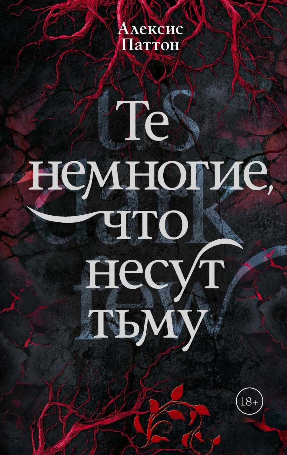 Обложка книги «Те немногие, что несут тьму»