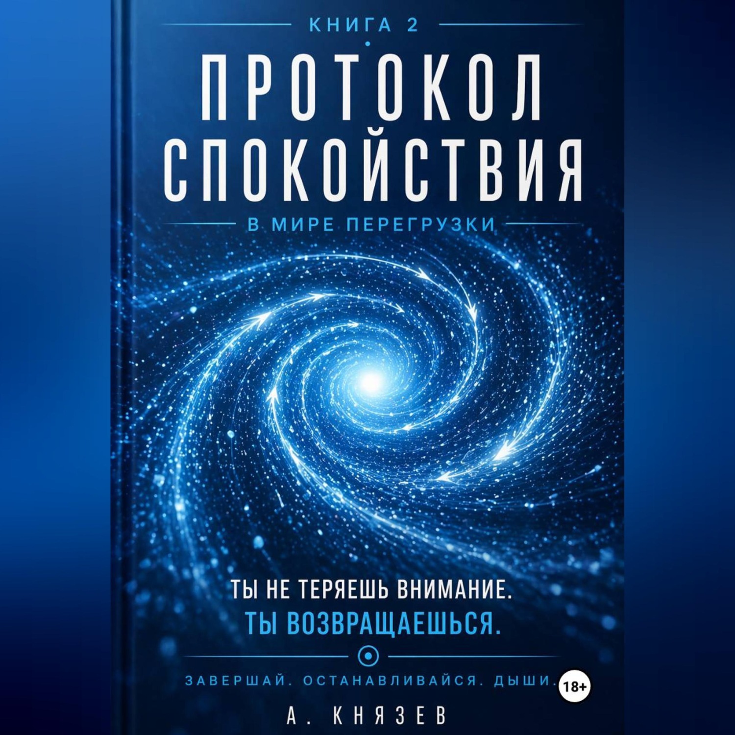 Обложка книги «Протокол спокойствия в мире перегрузки»