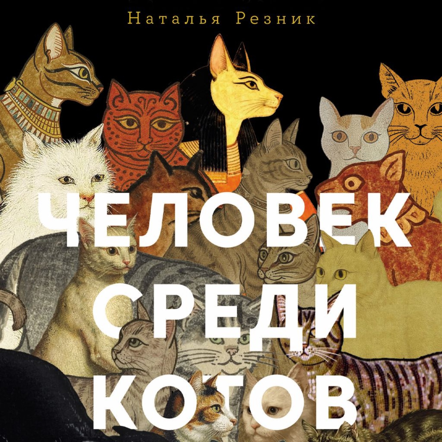 Обложка книги «Человек среди котов: История близкого соседства»