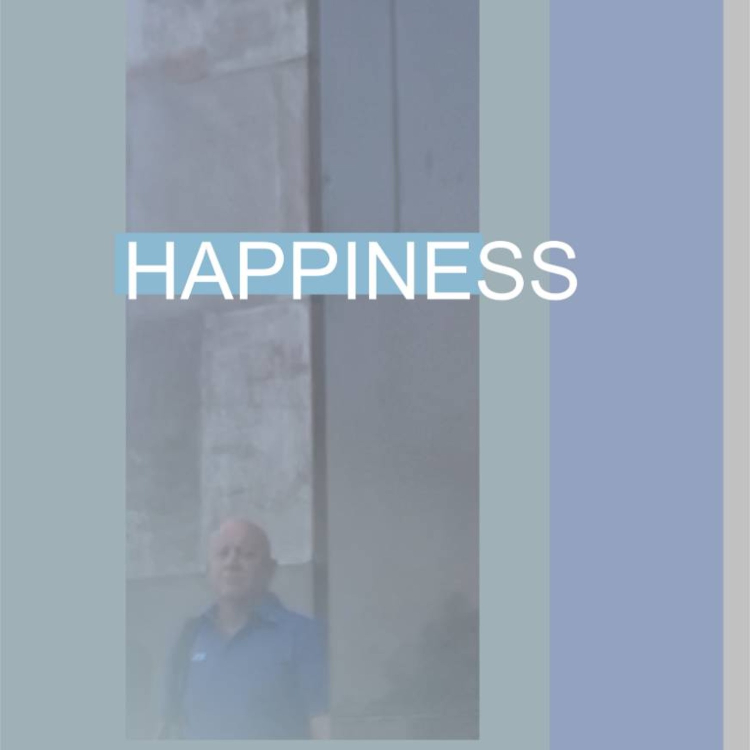 Обложка книги «Happiness»