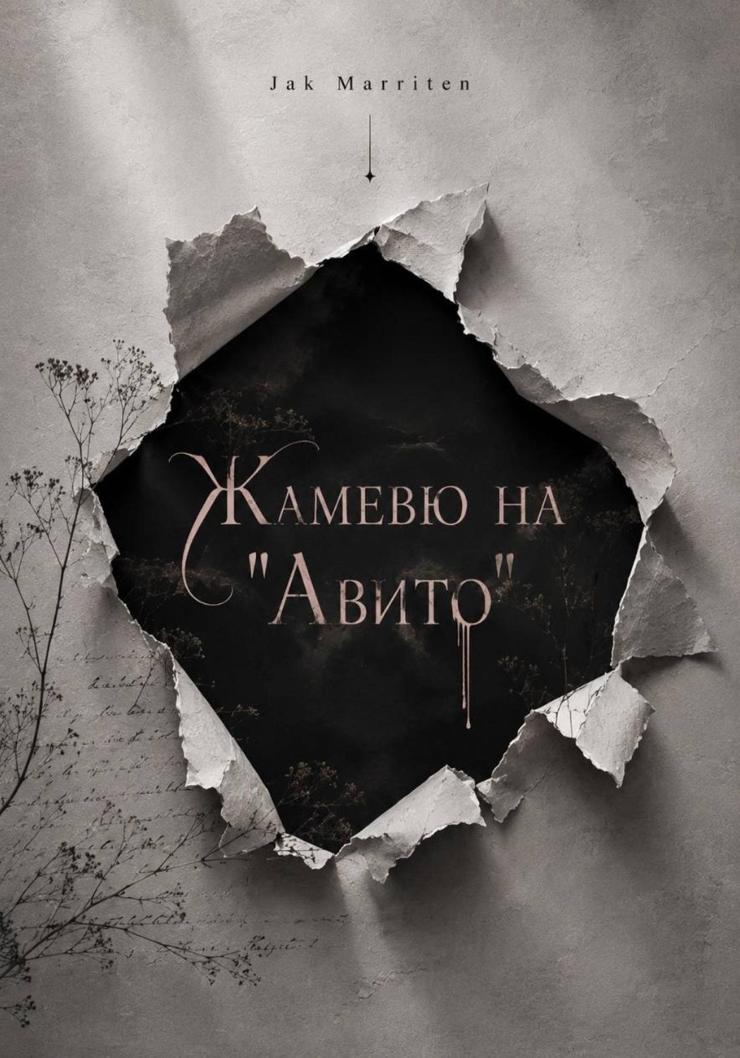 Обложка книги «Жамевю на Авито»