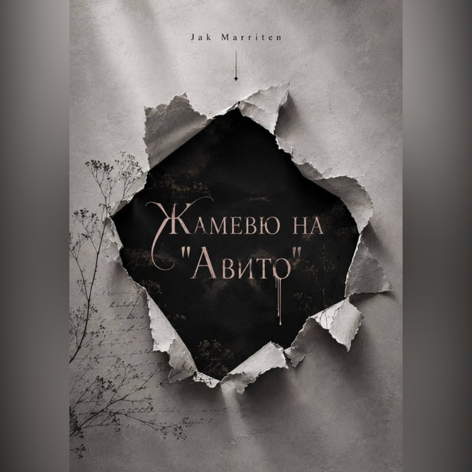 Обложка книги «Жамевю на Авито»