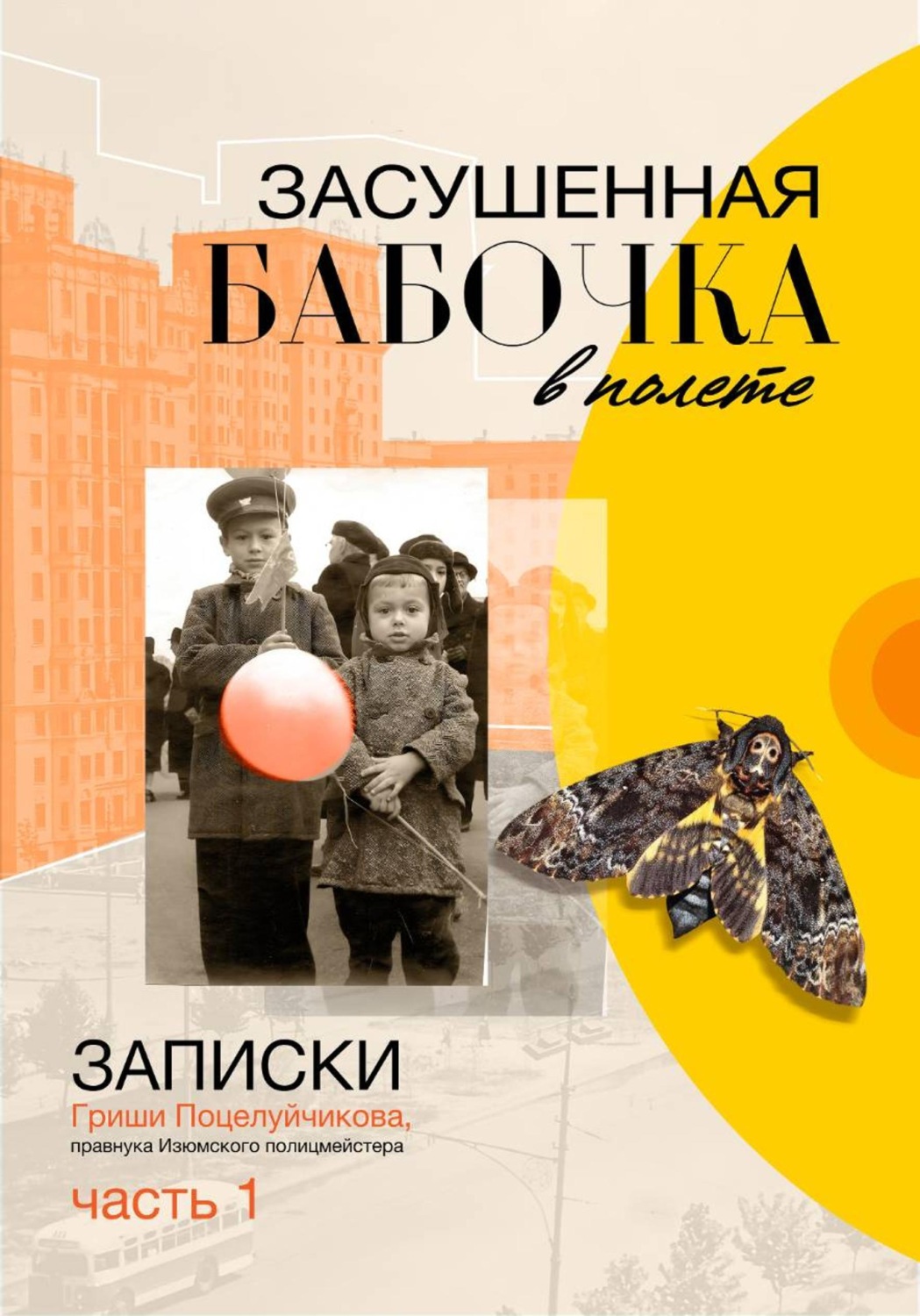Обложка книги «Засушенная бабочка в полете»