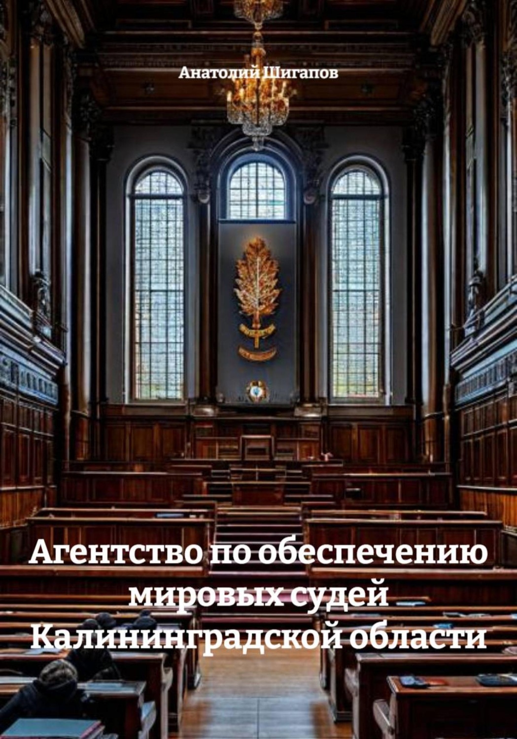 Обложка книги «Агентство по обеспечению мировых судей Калининградской области»