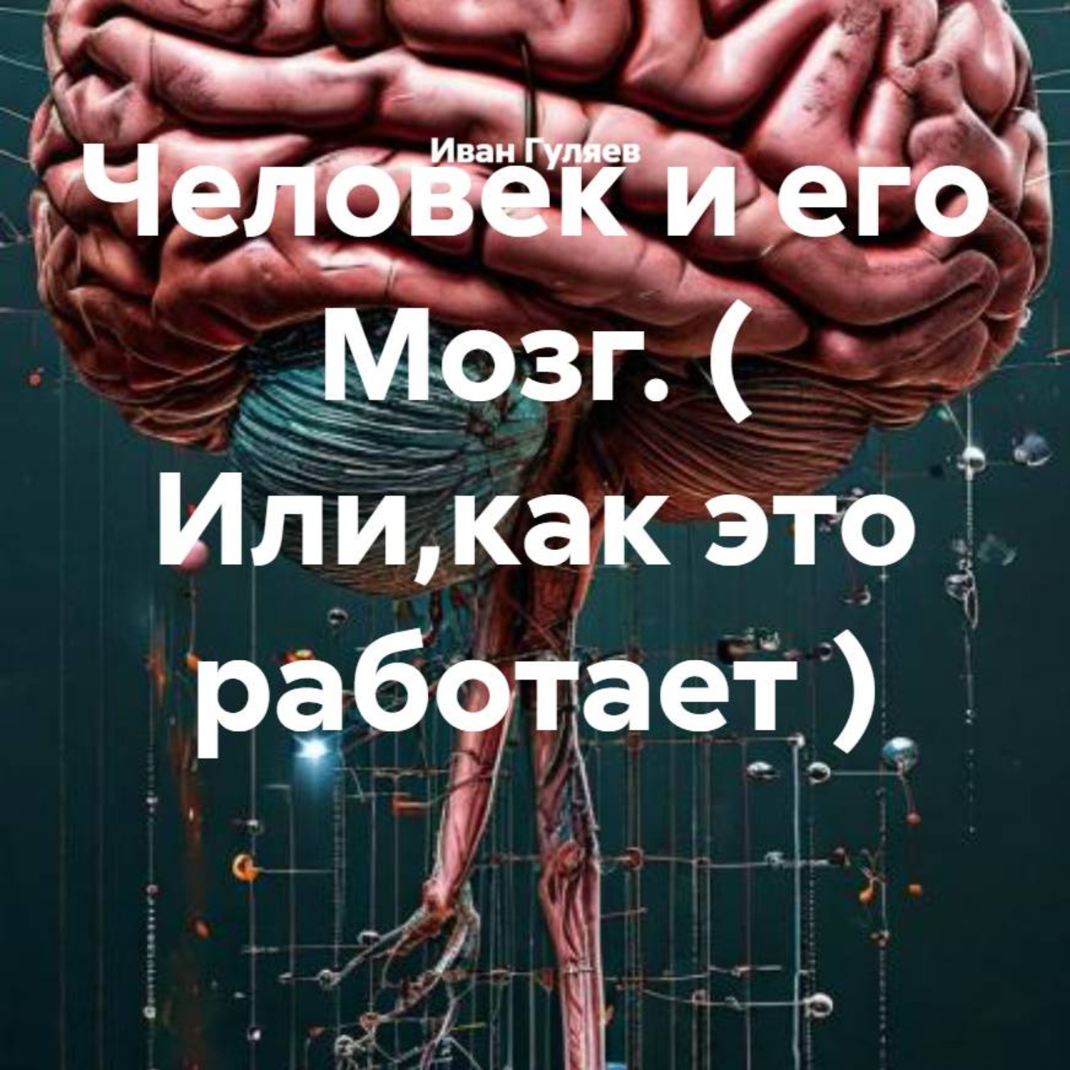Обложка книги «Человек и его Мозг. ( Или,как это работает )»