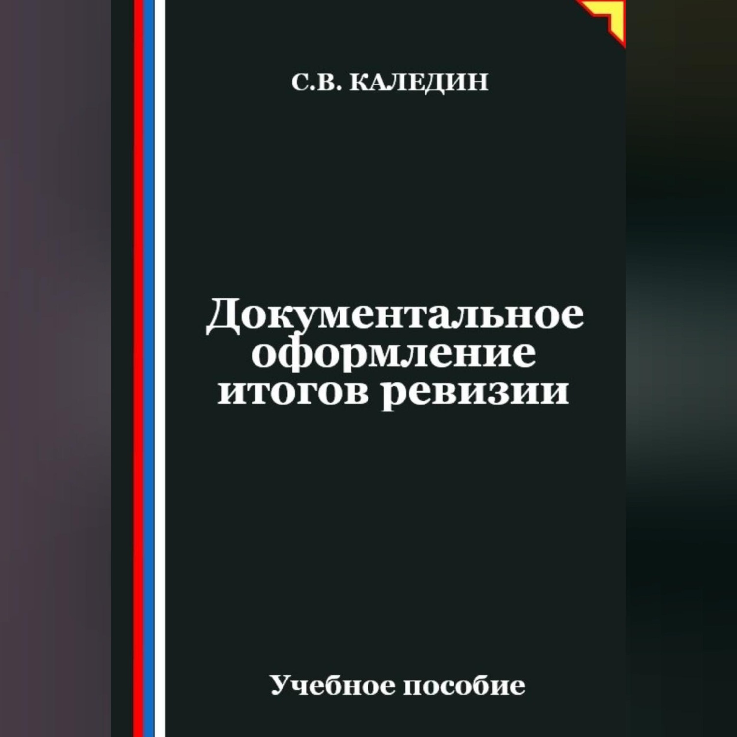 Обложка книги «Документальное оформление итогов ревизии»