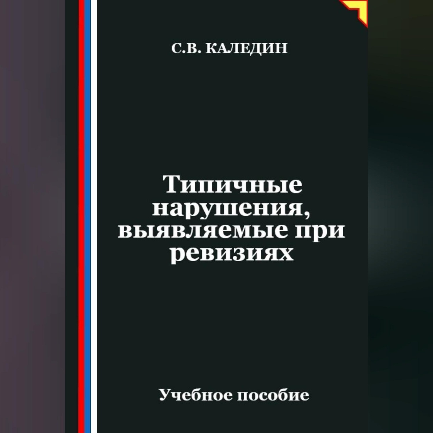 Обложка книги «Типичные нарушения, выявляемые при ревизиях»