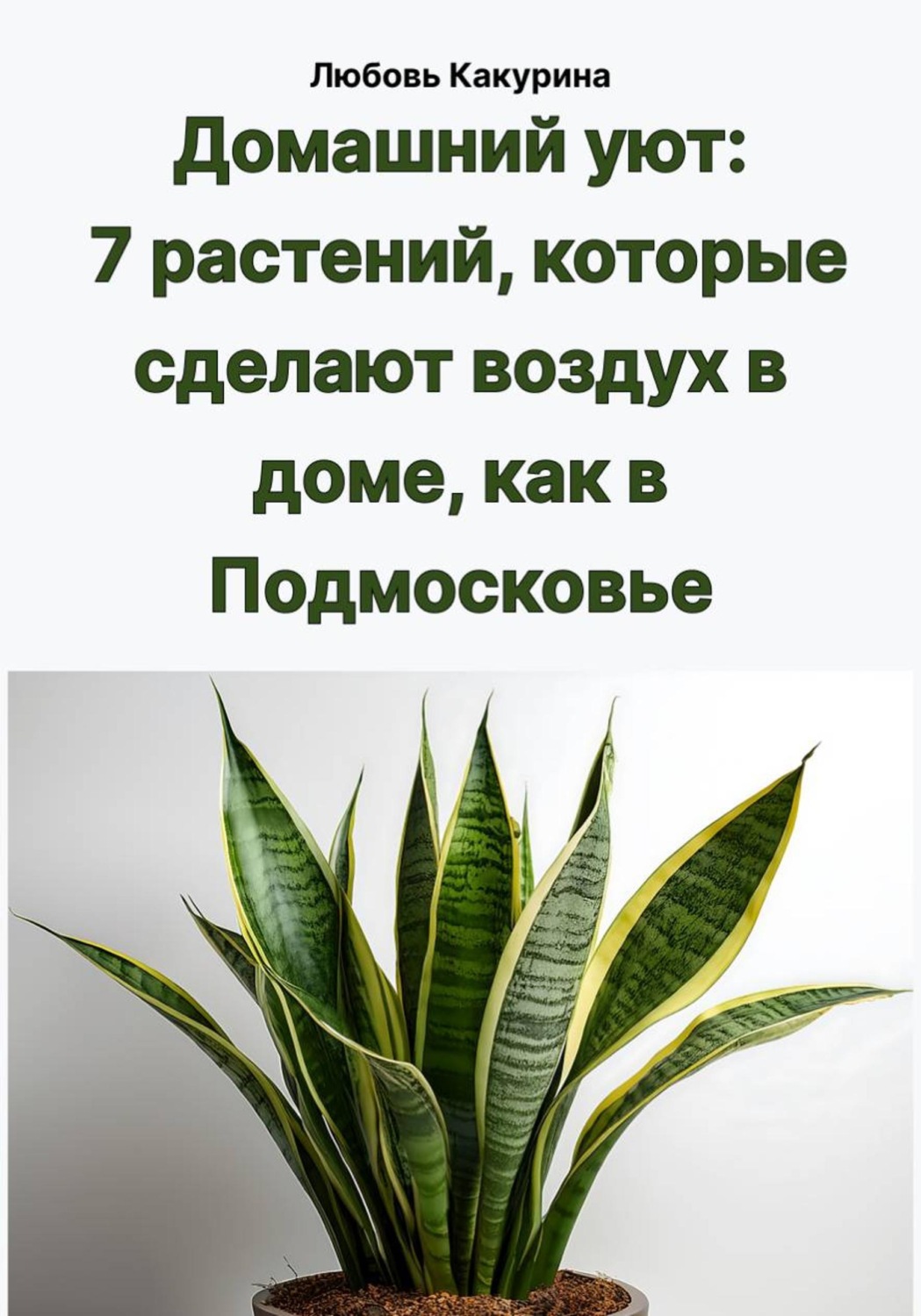 Обложка книги «Домашний уют: 7 растений, которые сделают воздух в доме, как в Подмосковье»