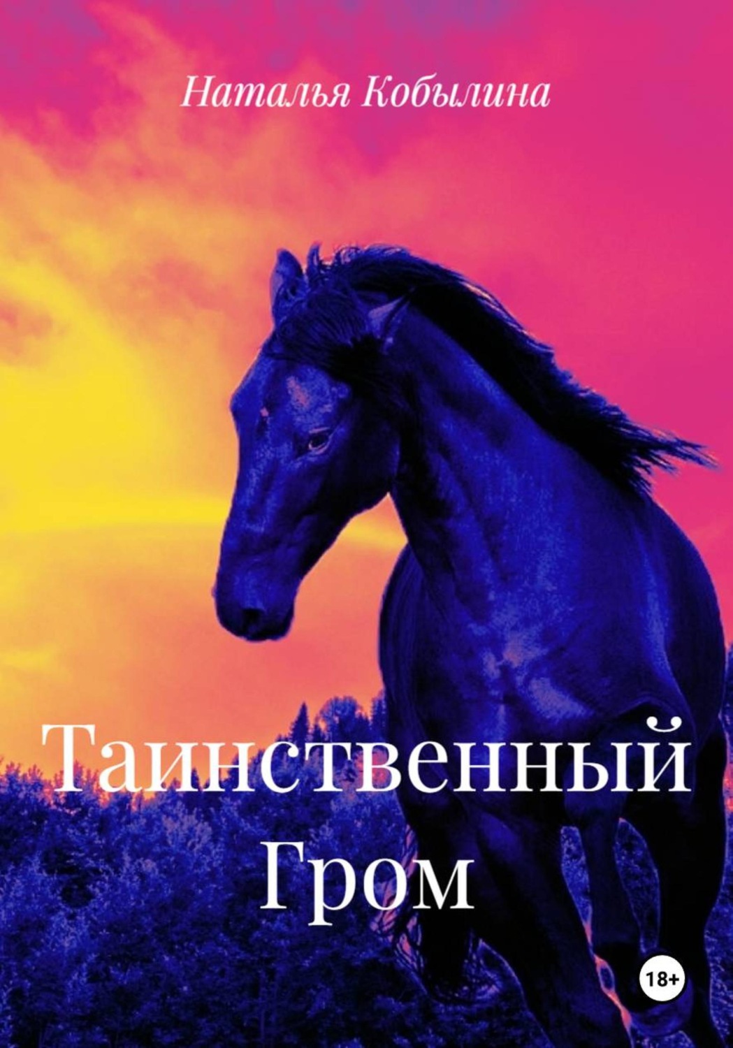 Обложка книги «Таинственный Гром»