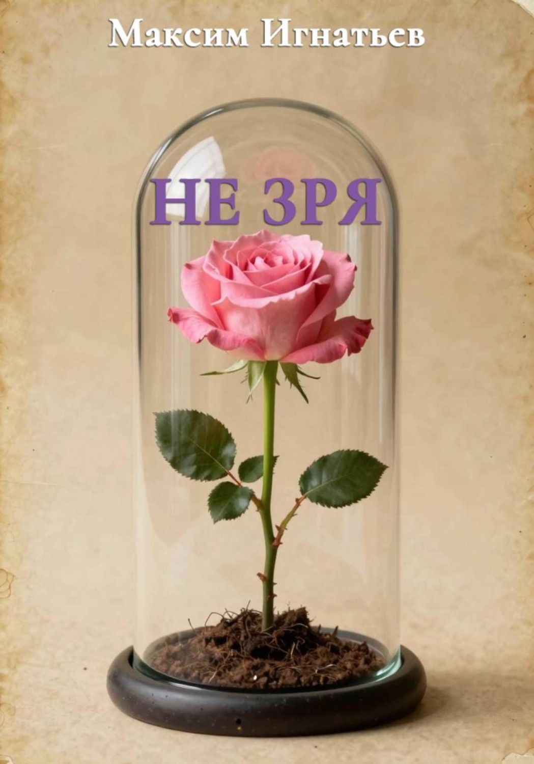 Обложка книги «Не зря»