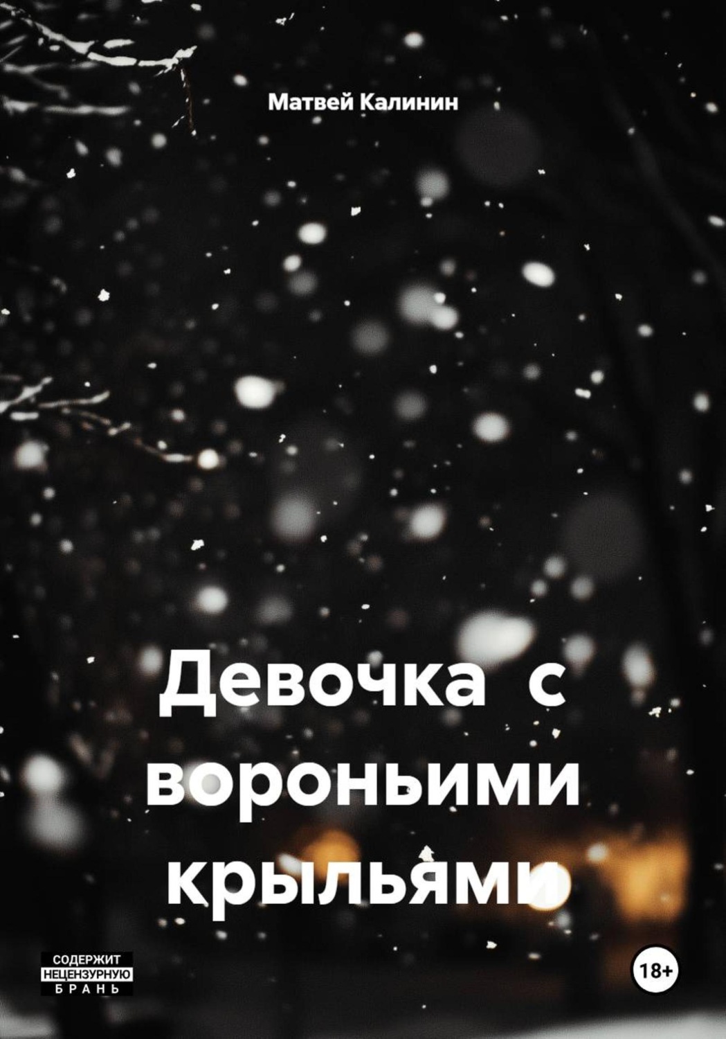 Обложка книги «Девочка с вороньими крыльями»