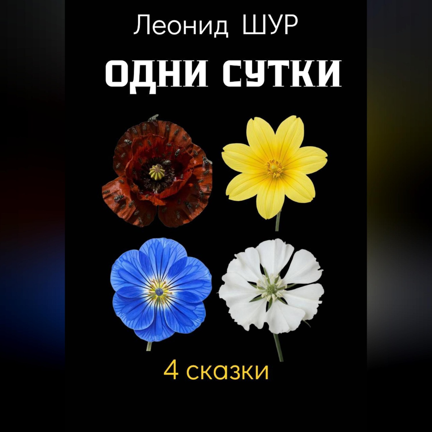 Обложка книги «Одни сутки»