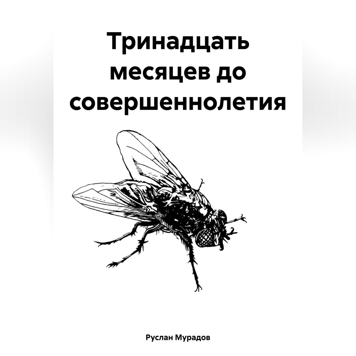 Обложка книги «Тринадцать месяцев до совершеннолетия»