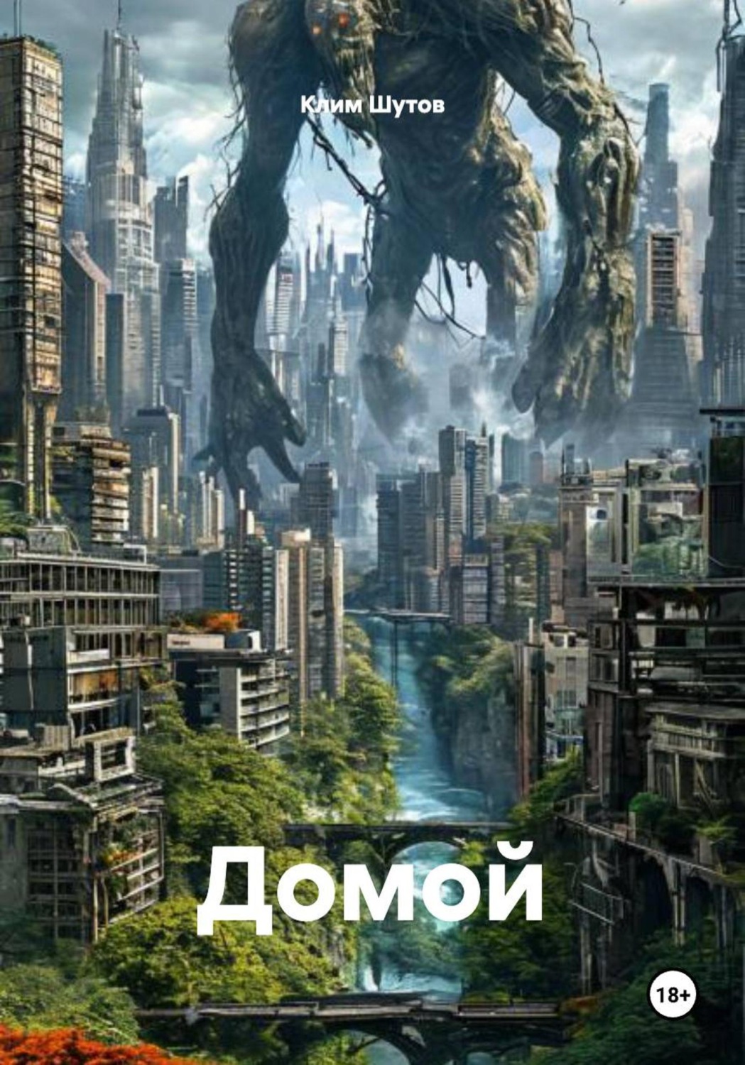 Обложка книги «Домой»