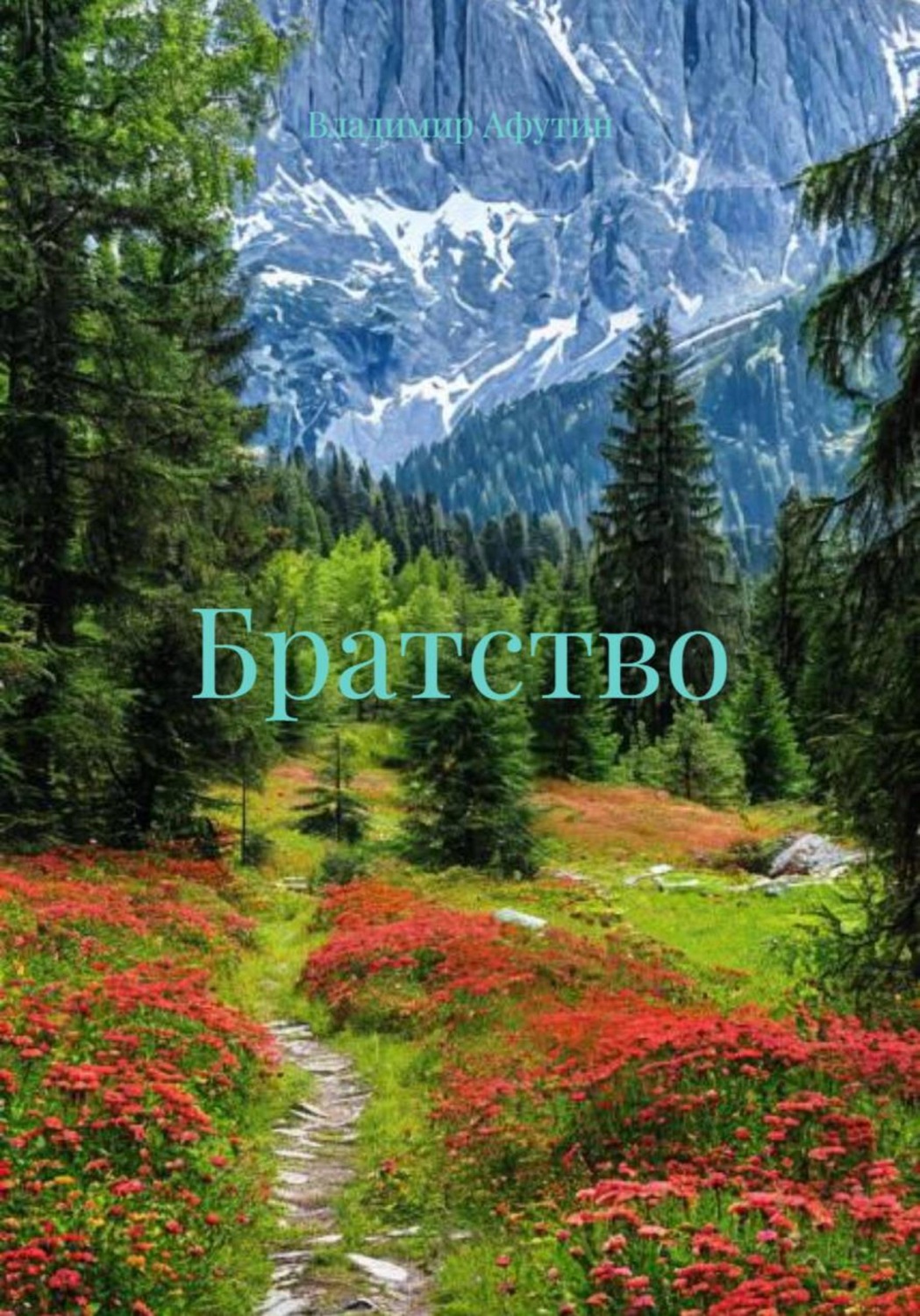 Обложка книги «Братство»