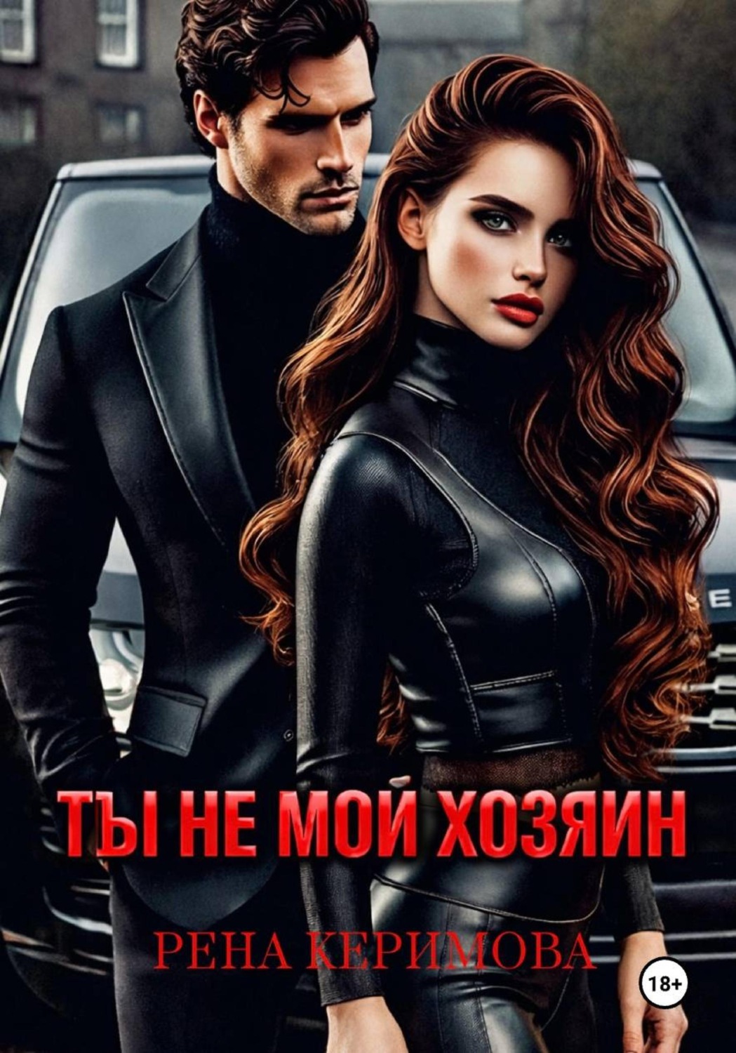 Обложка книги «ТЫ НЕ МОЙ ХОЗЯИН»