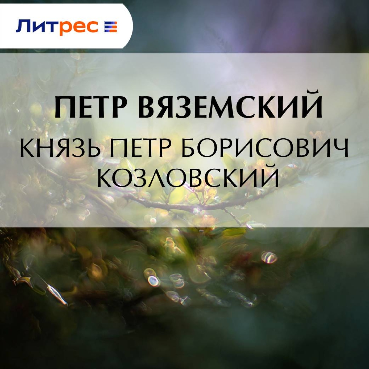Обложка книги «Князь Петр Борисович Козловский»