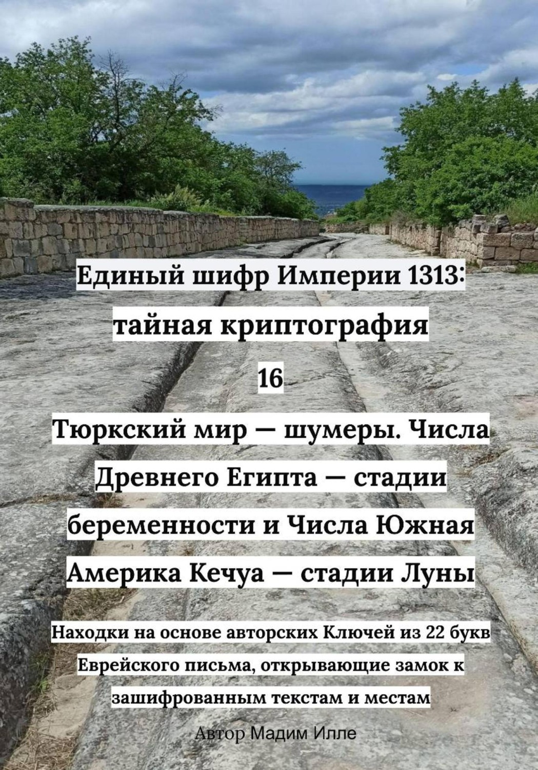 Обложка книги «Единый шифр Империи 1313: Тайная криптография 16 Тюркский мир — шумеры. Числа Древнего Египта — стадии беременности и Числа Южная Америка Кечуа — стадии Луны»