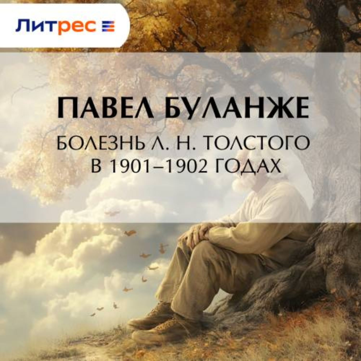 Обложка книги «Болезнь Л. Н. Толстого в 1901–1902 годах»