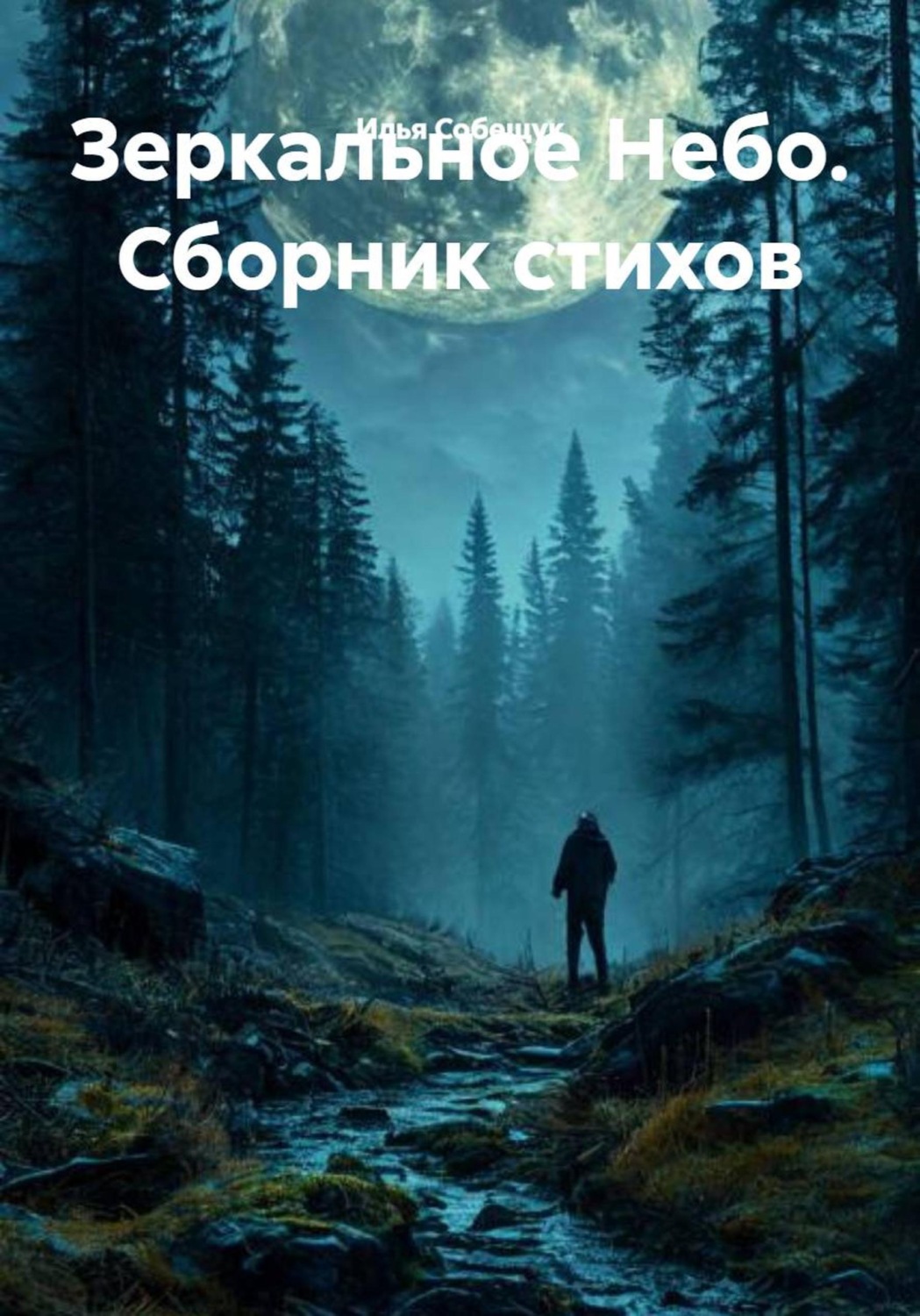 Обложка книги «Зеркальное Небо. Сборник стихов»