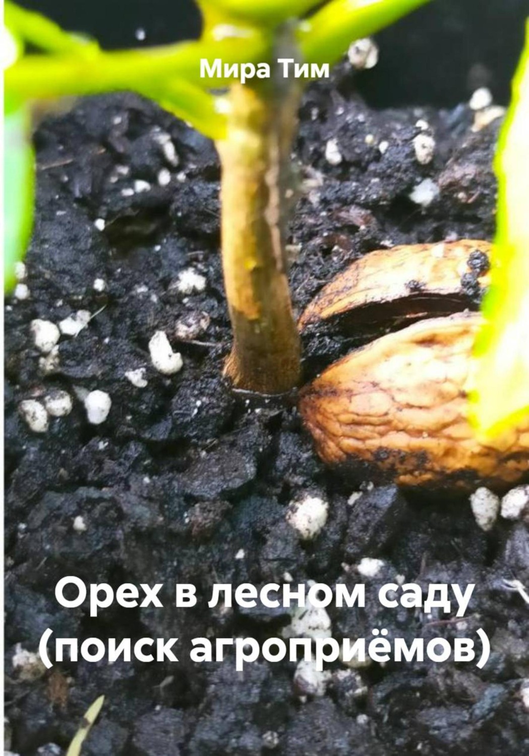 Обложка книги «Орех в лесном саду (поиск агроприёмов)»