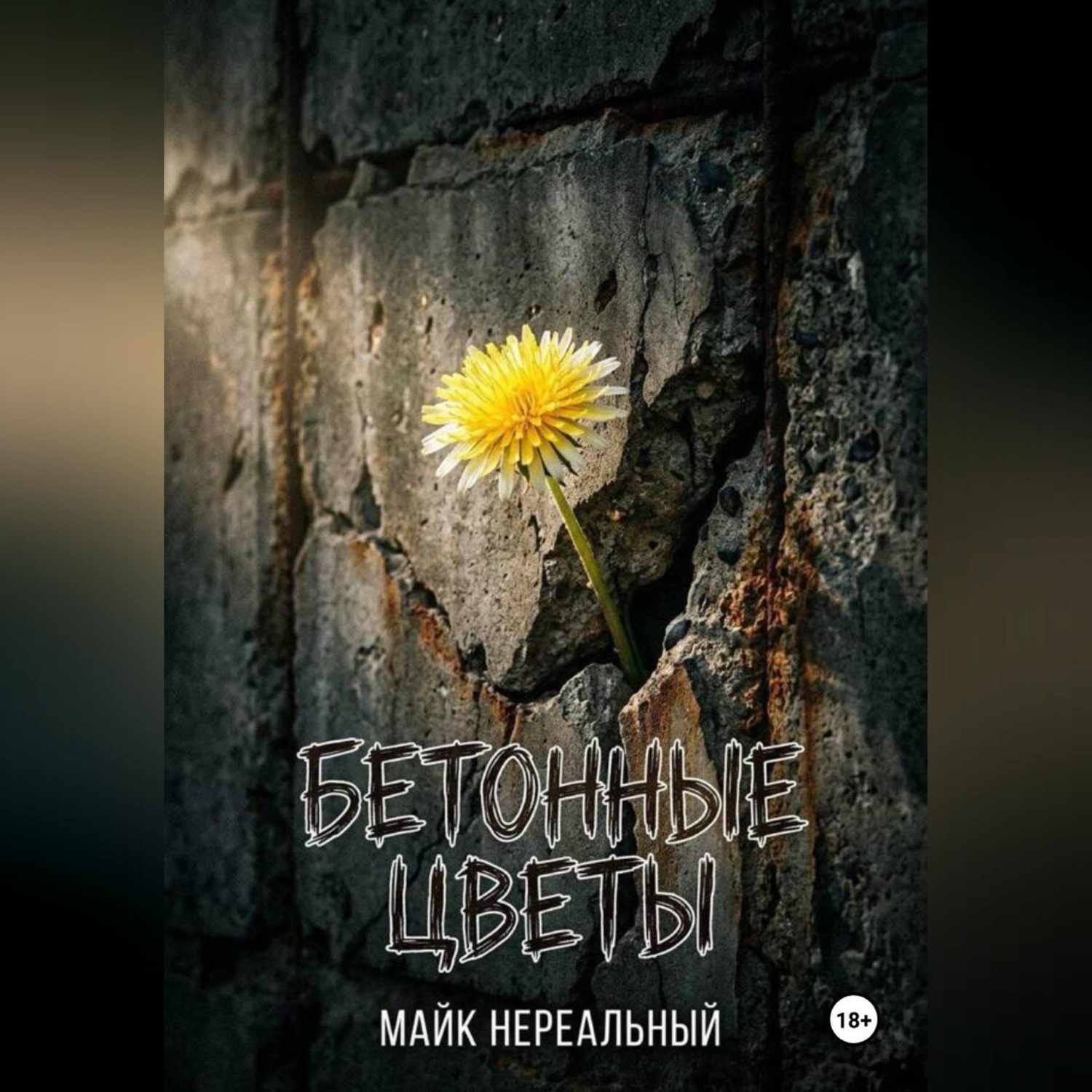 Обложка книги «Бетонные цветы»