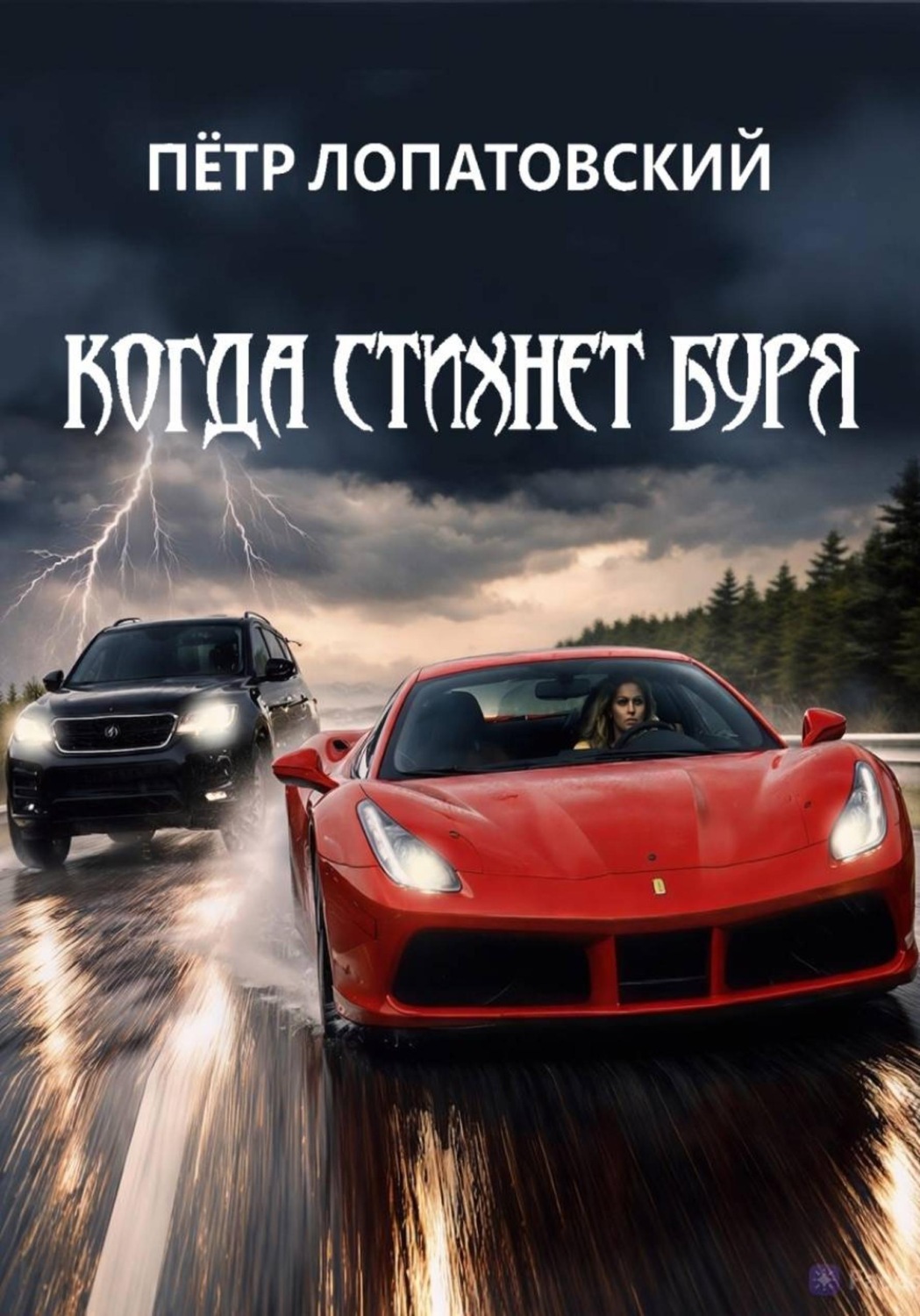 Обложка книги «Когда стихнет буря»
