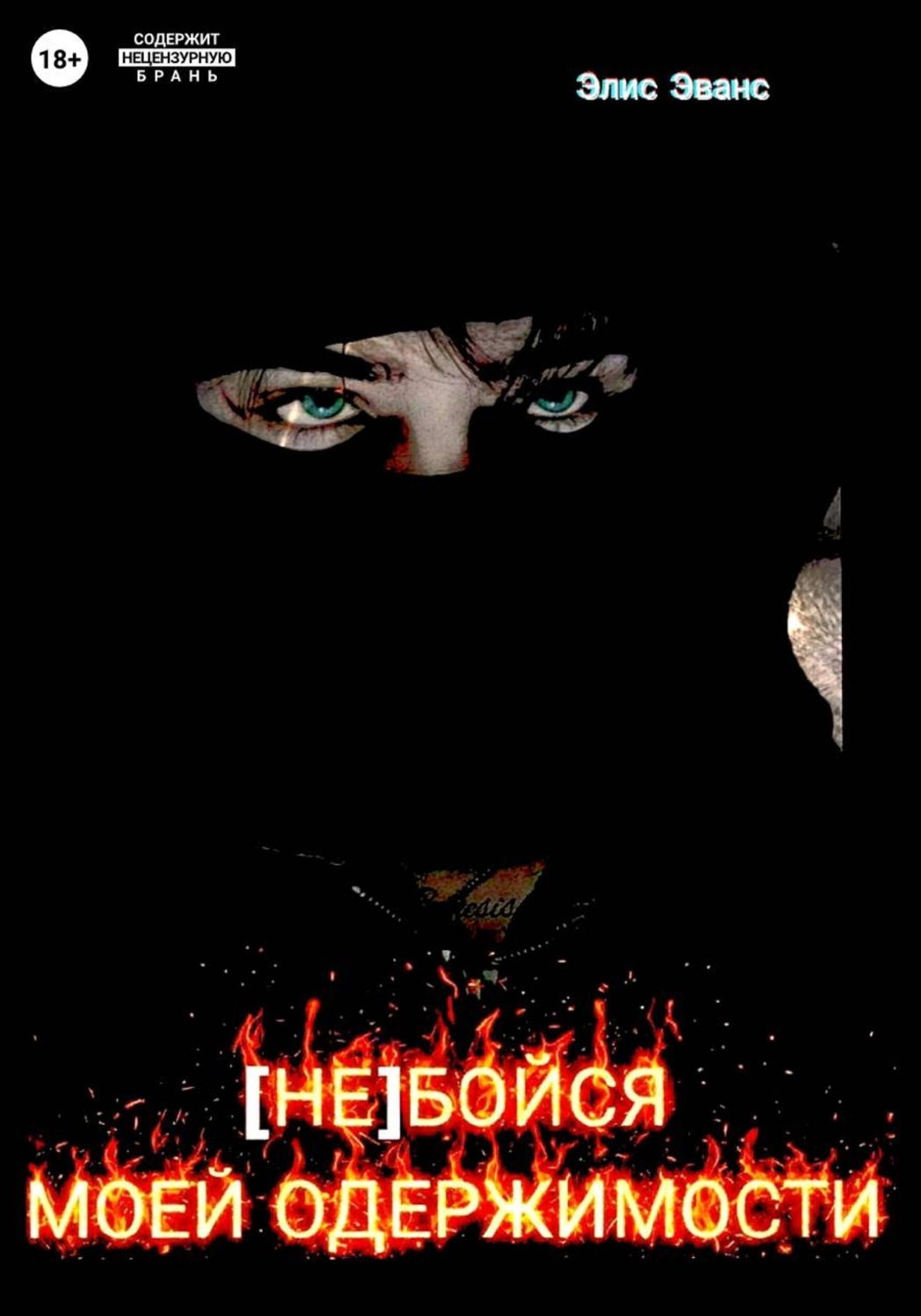 Обложка книги «Не бойся моей одержимости»
