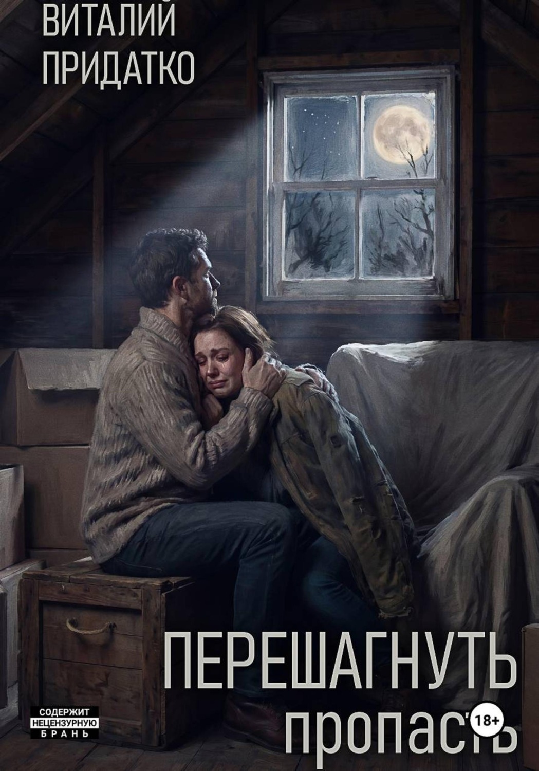 Обложка книги «Перешагнуть пропасть»