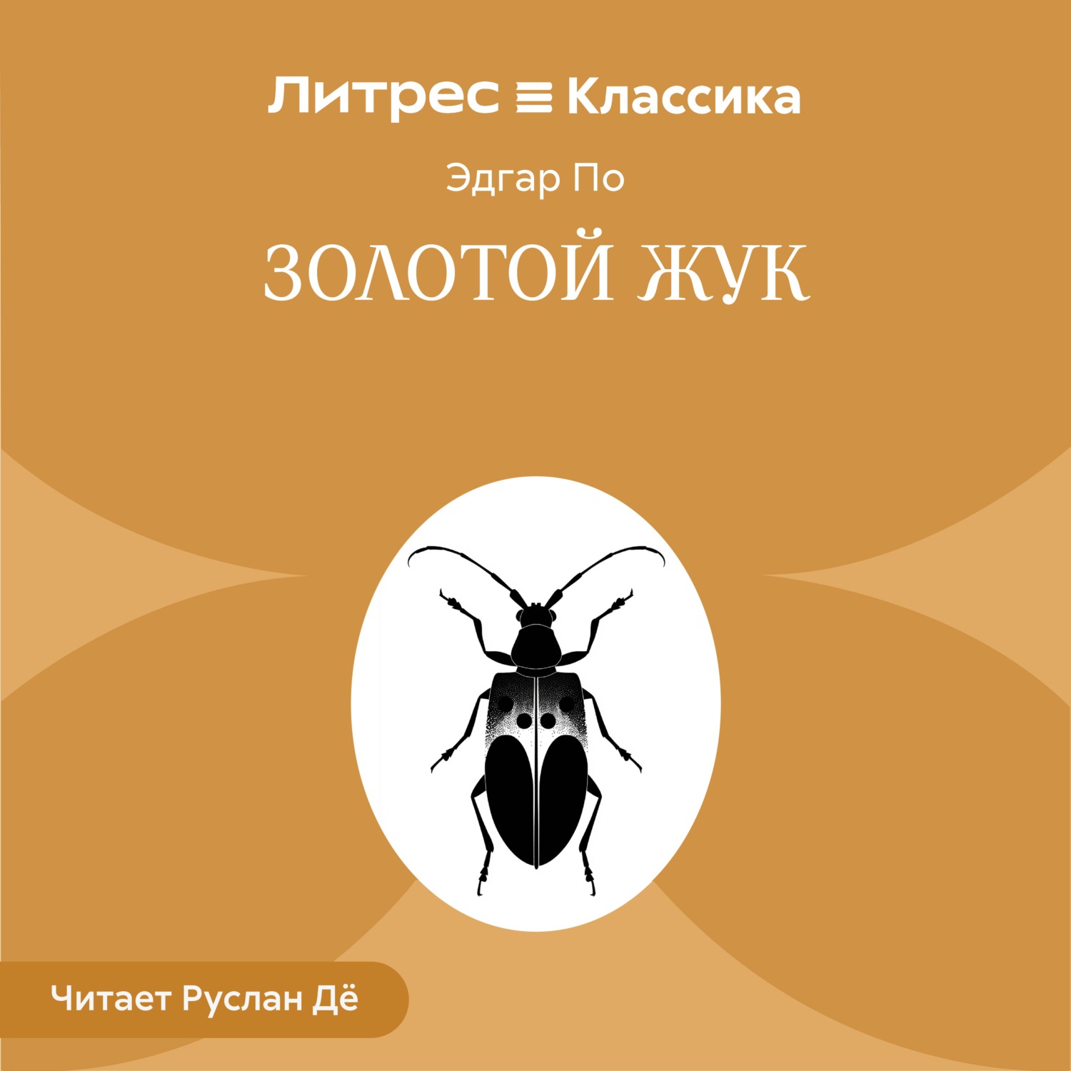 Обложка книги «Золотой жук»