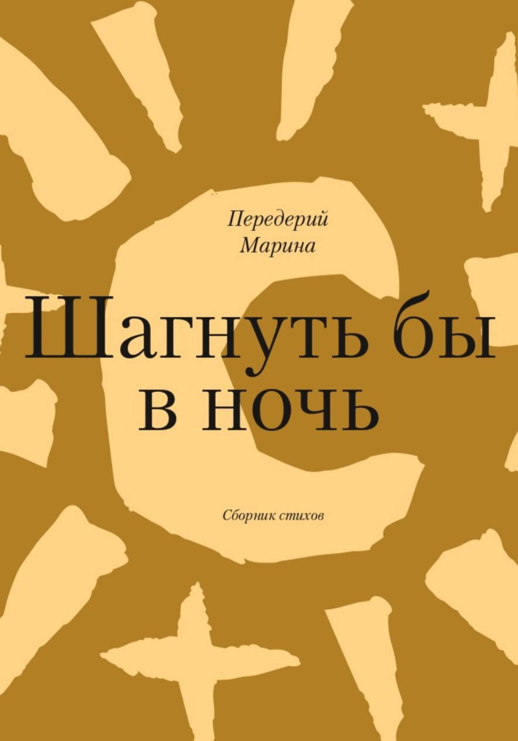 Обложка книги «Шагнуть бы в ночь»