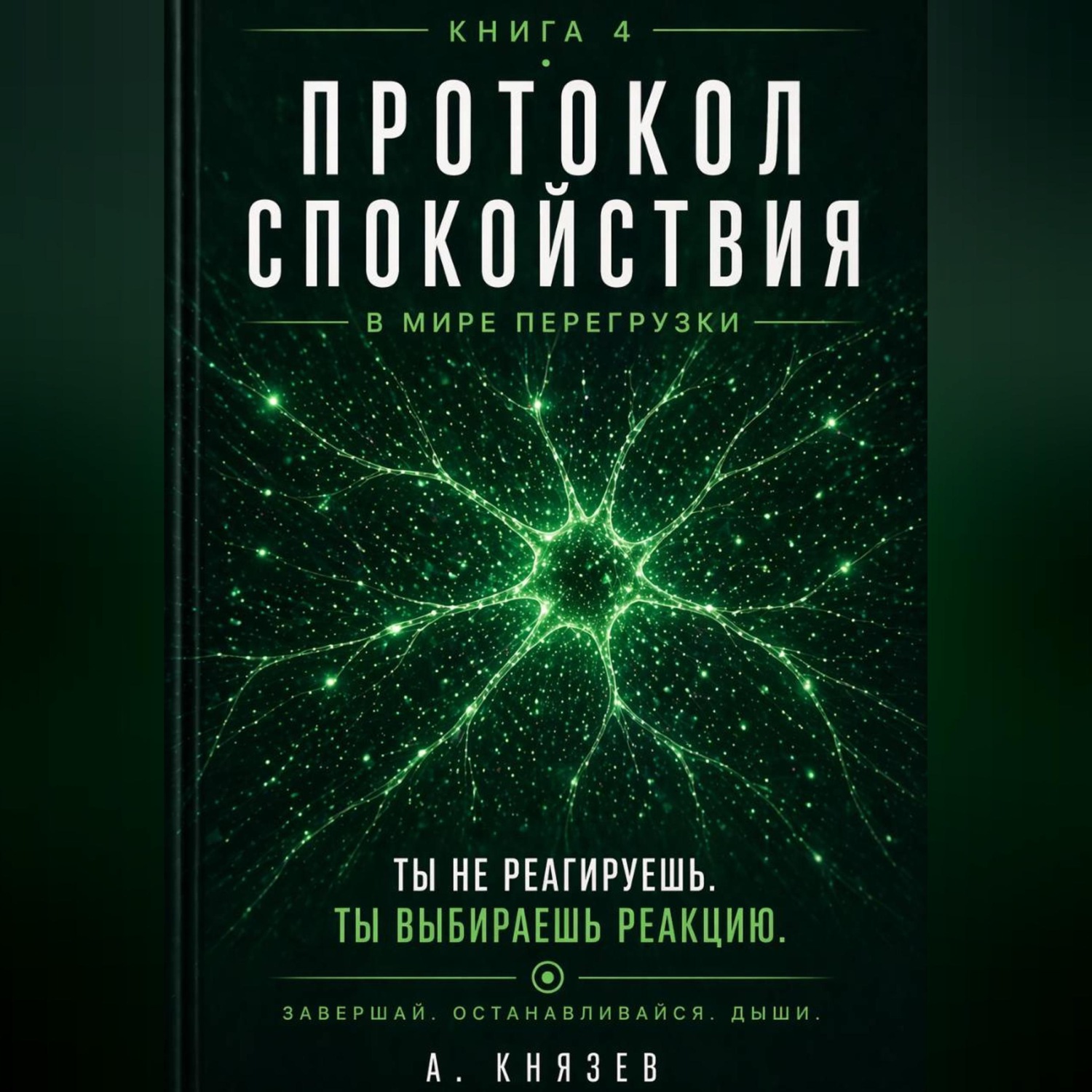 Обложка книги «Протокол спокойствия в мире перегрузки»