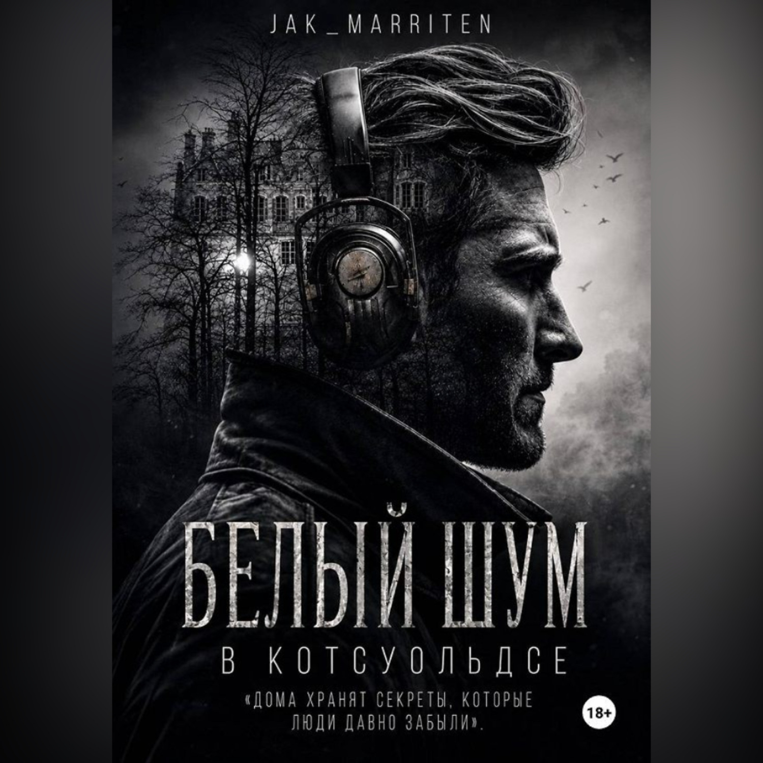 Обложка книги «Белый шум в Котсуольдсе»