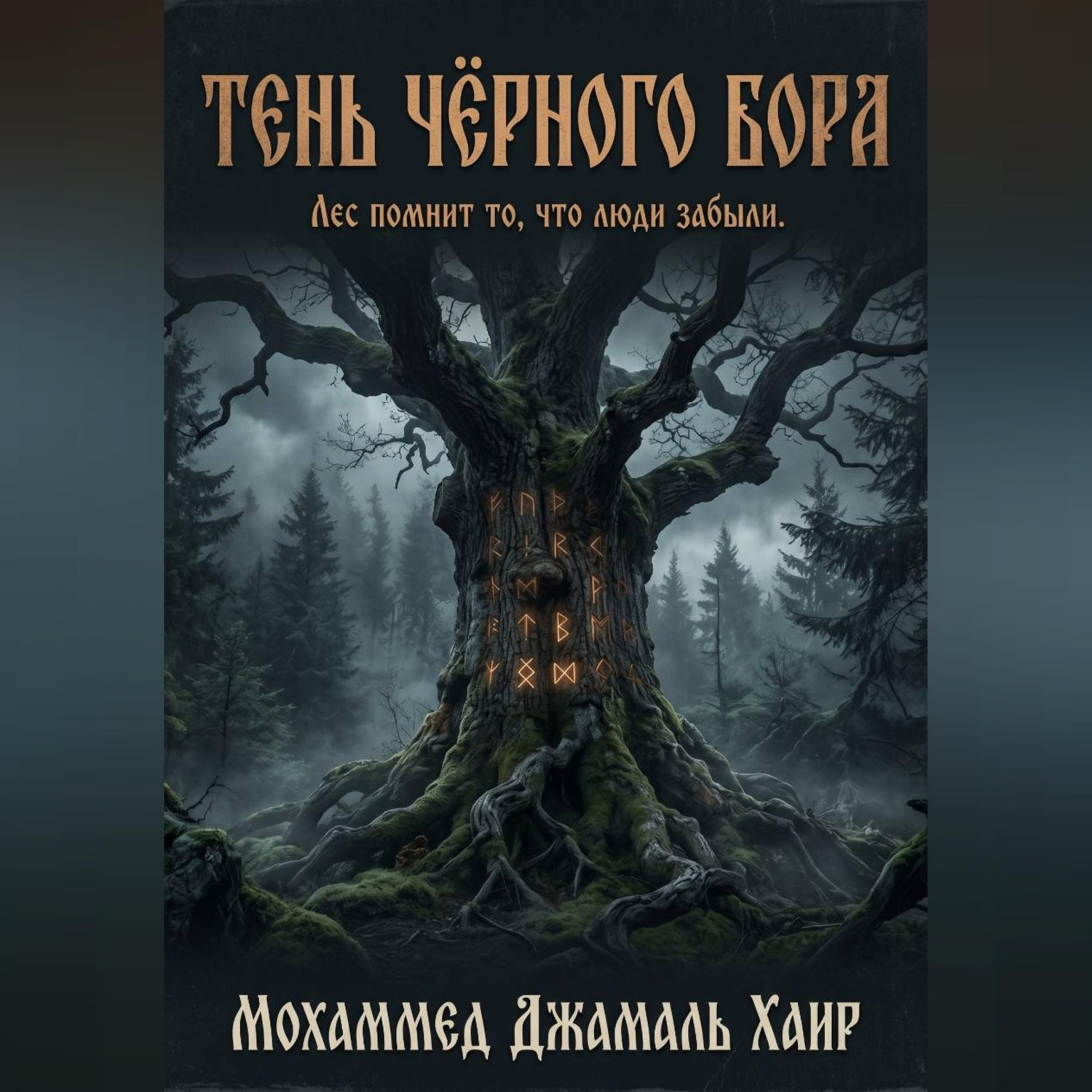 Обложка книги «Тень Чёрного Бора»