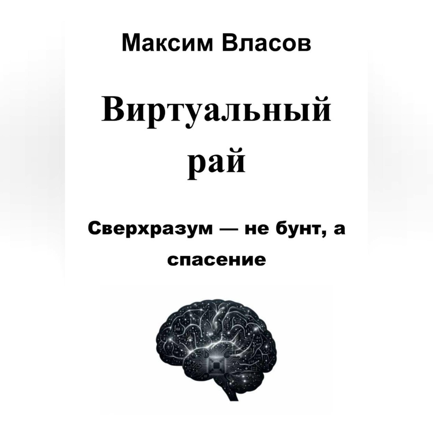Обложка книги «Виртуальный рай»