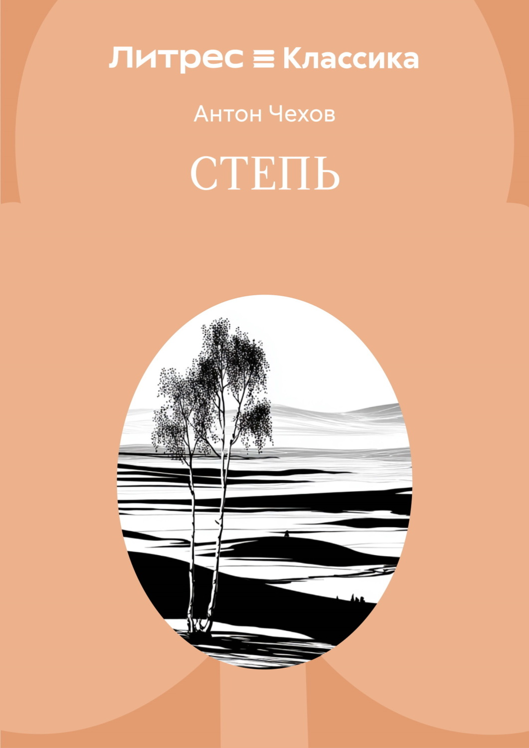 Обложка книги «Степь»