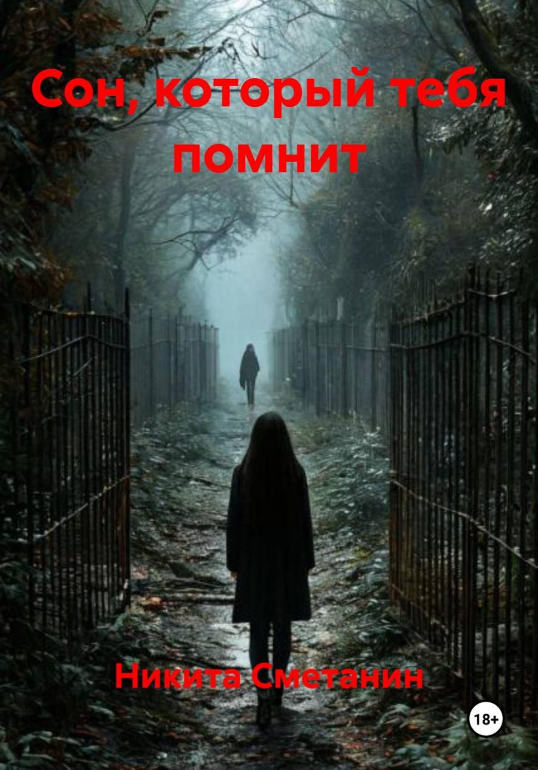 Обложка книги «Сон, который тебя помнит»