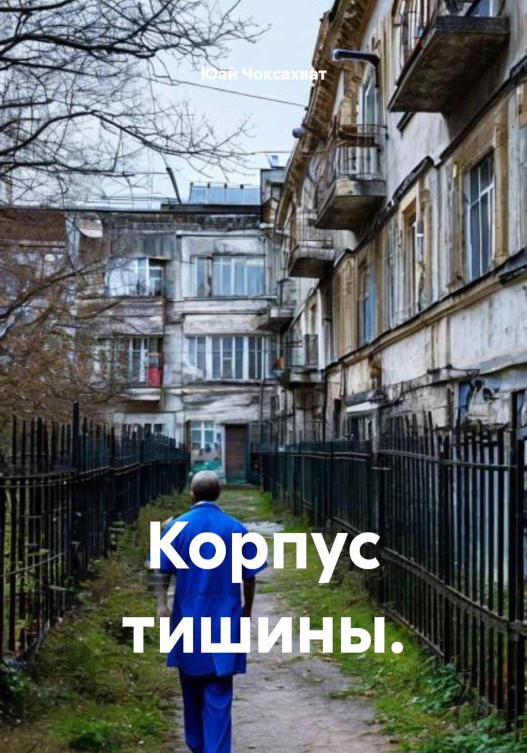 Обложка книги «Корпус тишины»