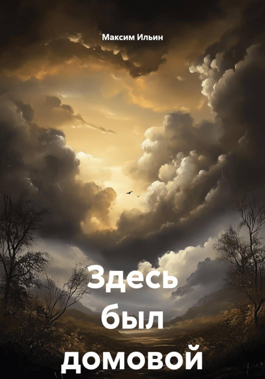 Обложка книги «Здесь был домовой»