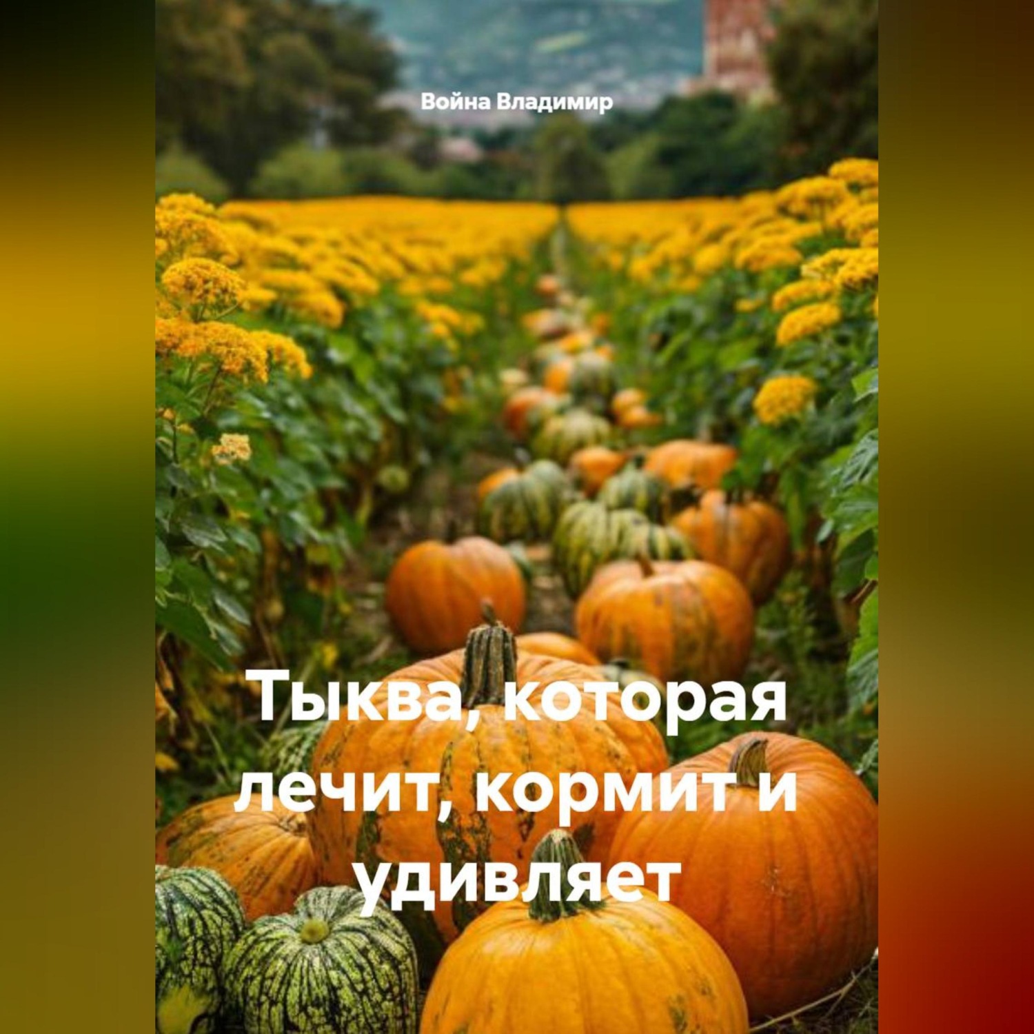 Обложка книги «Тыква, которая лечит, кормит и удивляет»