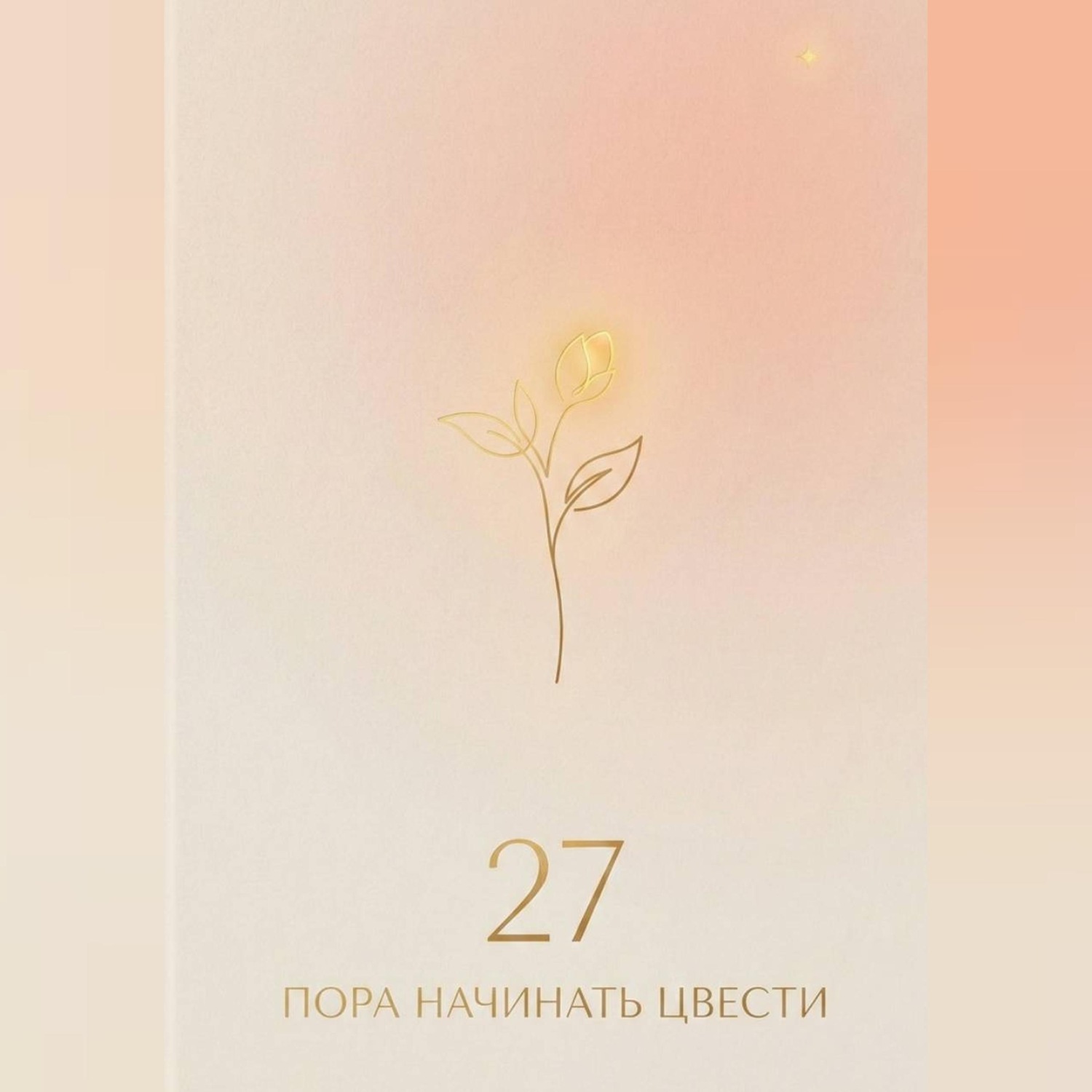 Обложка книги «27: пора начинать цвести»