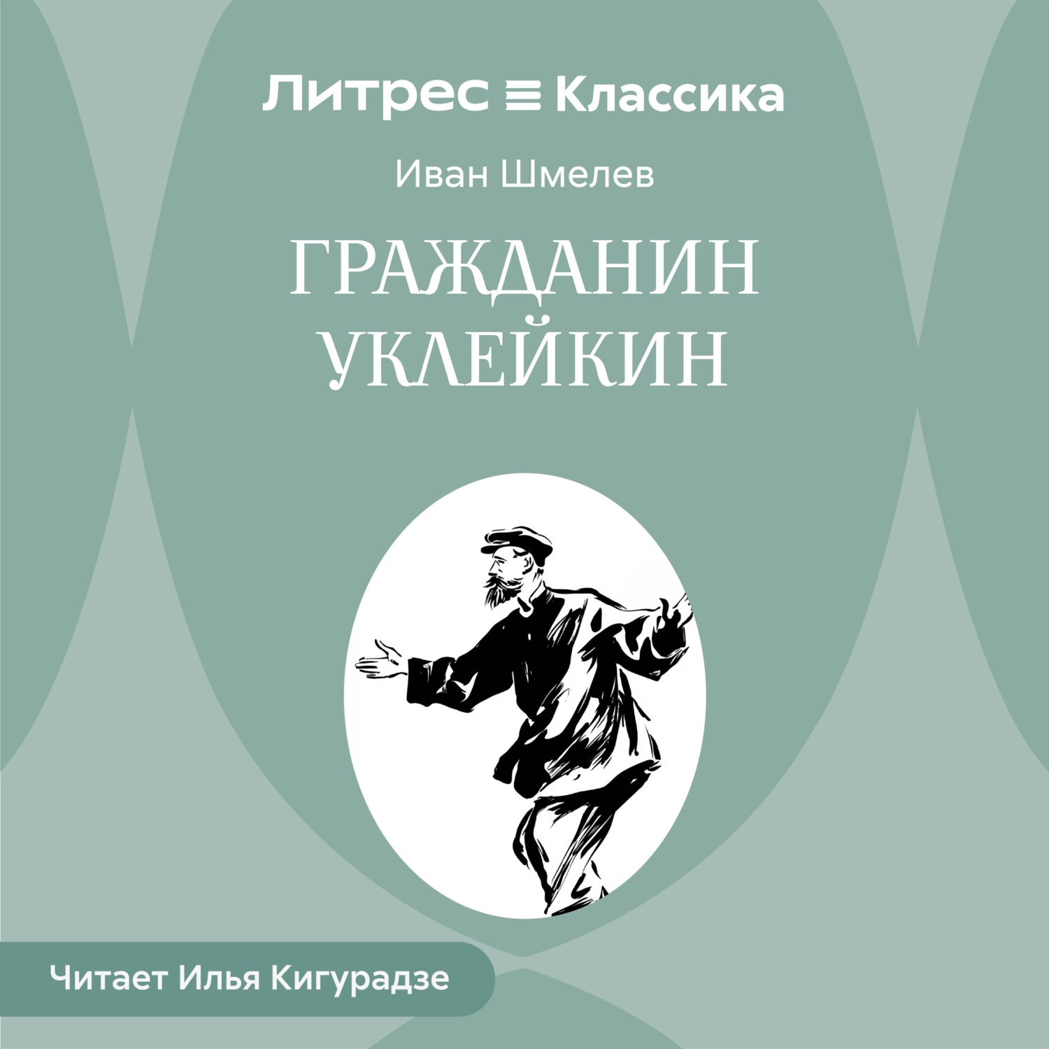 Обложка книги «Гражданин Уклейкин»