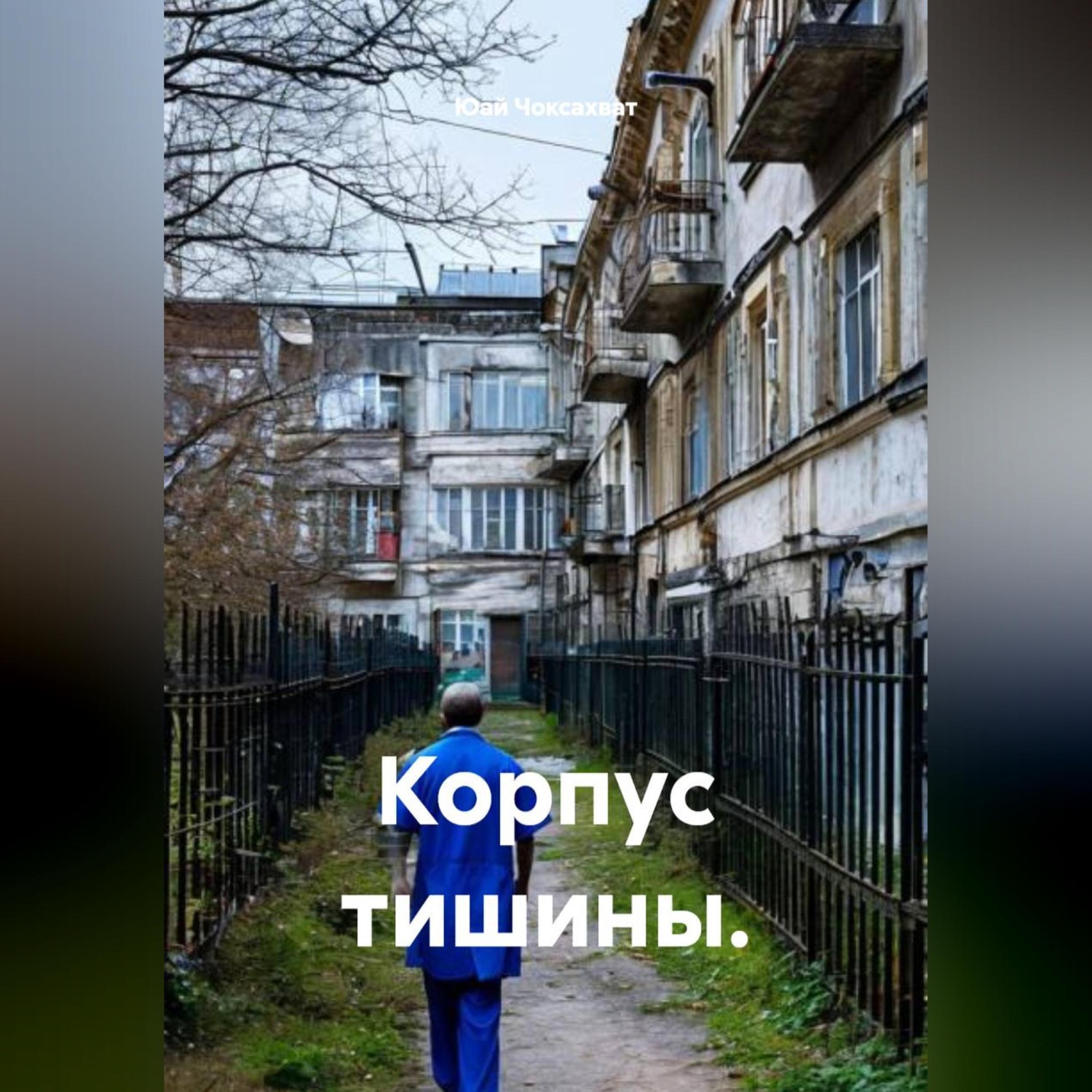 Обложка книги «Корпус тишины.»