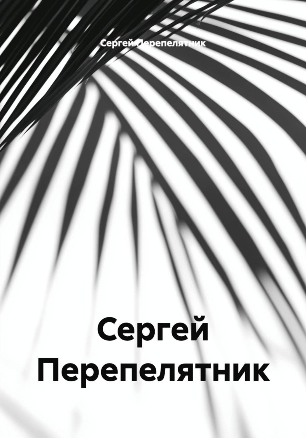 Обложка книги «Сергей Перепелятник»