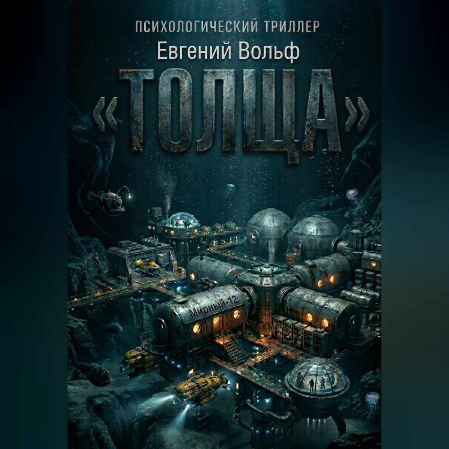 Обложка книги «ТОЛЩА»