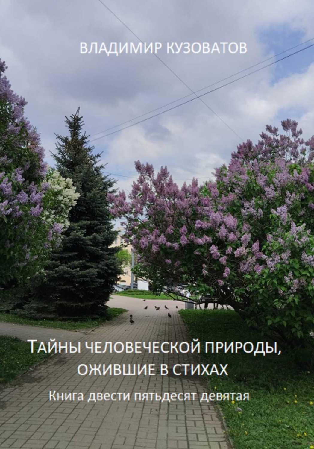 Обложка книги «Тайны человеческой природы, ожившие в стихах. Книга двести пятьдесят девятая»