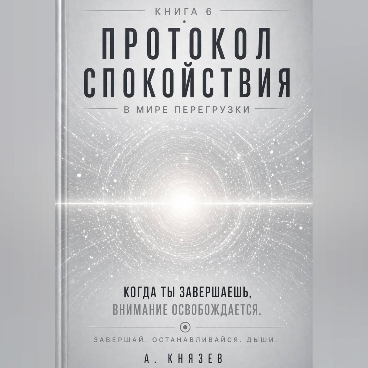 Обложка книги «Протокол спокойствия в мире перегрузки»